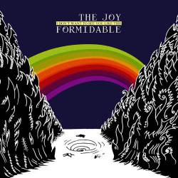 The Joy Formidable : I Don't Want to See You Like This